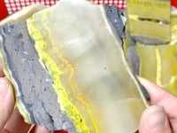 Bumble Bee Jasper Slab Wholesale