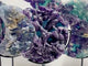 6 Pieces Fluorite Moon Carving With Stand