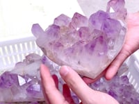 10 Pieces Raw Amethyst Cluster Polished Bottom (Sea Freight Only)