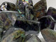 13 Pieces Colorful Labradorite Free Form