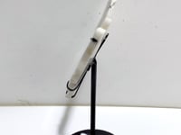 India Moonstone Butterfly Wing Carving With Stand