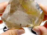 4 Pieces Golden Rutile Quartz Free Form With Stand