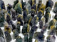 51 Pieces Fluorite Mixed Pyrite Raw Side Tower