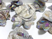8 Pieces Geode Aura Sphalerite Sea Turtles Carving