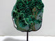 Unique Chrysocolla Mixed Malachite Specimen With Stand