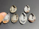 6 Pieces Nine-tailed Fox Garden Quartz Inner Scene Carving