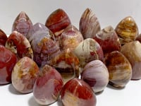 20 Pieces Petrified Wood Stone Arrow Head Shape