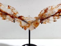 Unique Red Fire Quartz Heart Wing Carving With Stand