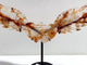 Unique Red Fire Quartz Heart Wing Carving With Stand