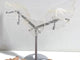 Unique Clear Quartz Heart Wing Carving With Stand
