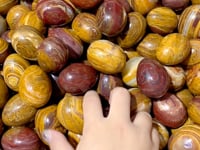 Petrified Wood Stone Egg Wholesale