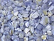 Polished Blue Lace Agate Gravel Tumbled Mixed Size