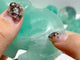 11 Pieces Green Fluorite Elephant Carving