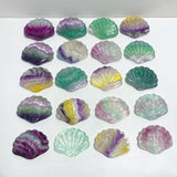 Rainbow Fluorite Shell Wholesale (No.1-20) -Wholesale Crystals