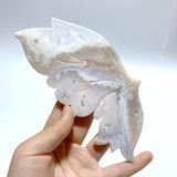 Sakura Flower Agate Butterfly Wing Carving With Stand - Wholesale Crystals