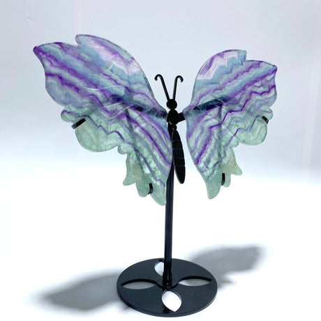 Unique Fluorite Butterfly Wing Carving With Stand - Wholesale Crystals