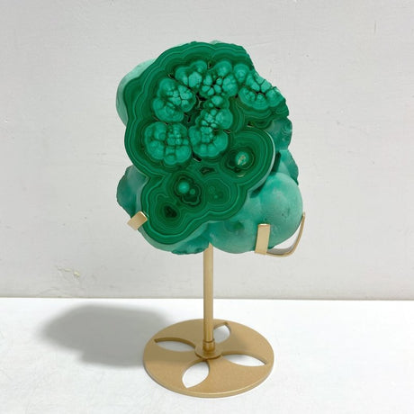 Unique Malachite Specimen Raw Bottom With Stand - Wholesale Crystals