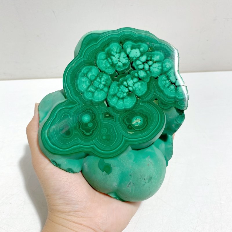 Unique Malachite Specimen Raw Bottom With Stand - Wholesale Crystals