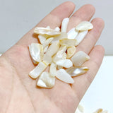 White Mother of Pearl Mop Shell Gravel Chips Wholesale -Wholesale Crystals