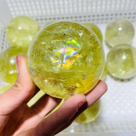12 Pieces Citrine Crystal With Rainbow Spheres -Wholesale Crystals