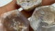 Sakura Flower Agate Six Side Bowl Wholesale -Wholesale Crystals