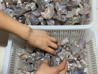 High Quality Flower Agate Star & Moon Wholesale -Wholesale Crystals