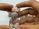 Red Line Stone Marble Goddess Carving Wholesale -Wholesale Crystals