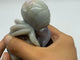 Green Sakura Flower Agate Beetle Skull Carving -Wholesale Crystals