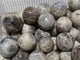 Moonstone Sphere Ball Wholesale