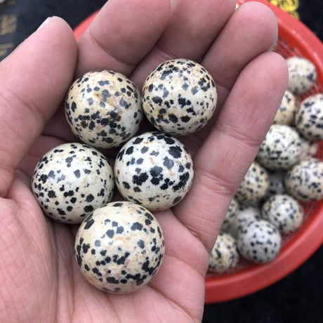 natural dalmatian jasper quartz sphere -Wholesale Crystals