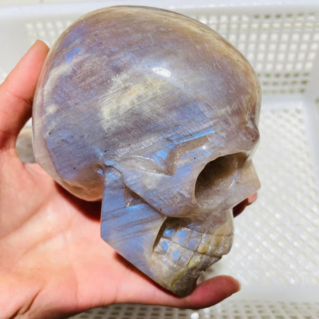 3 Pieces Moonstone Mixed Sunstone Skull Carving -Wholesale Crystals
