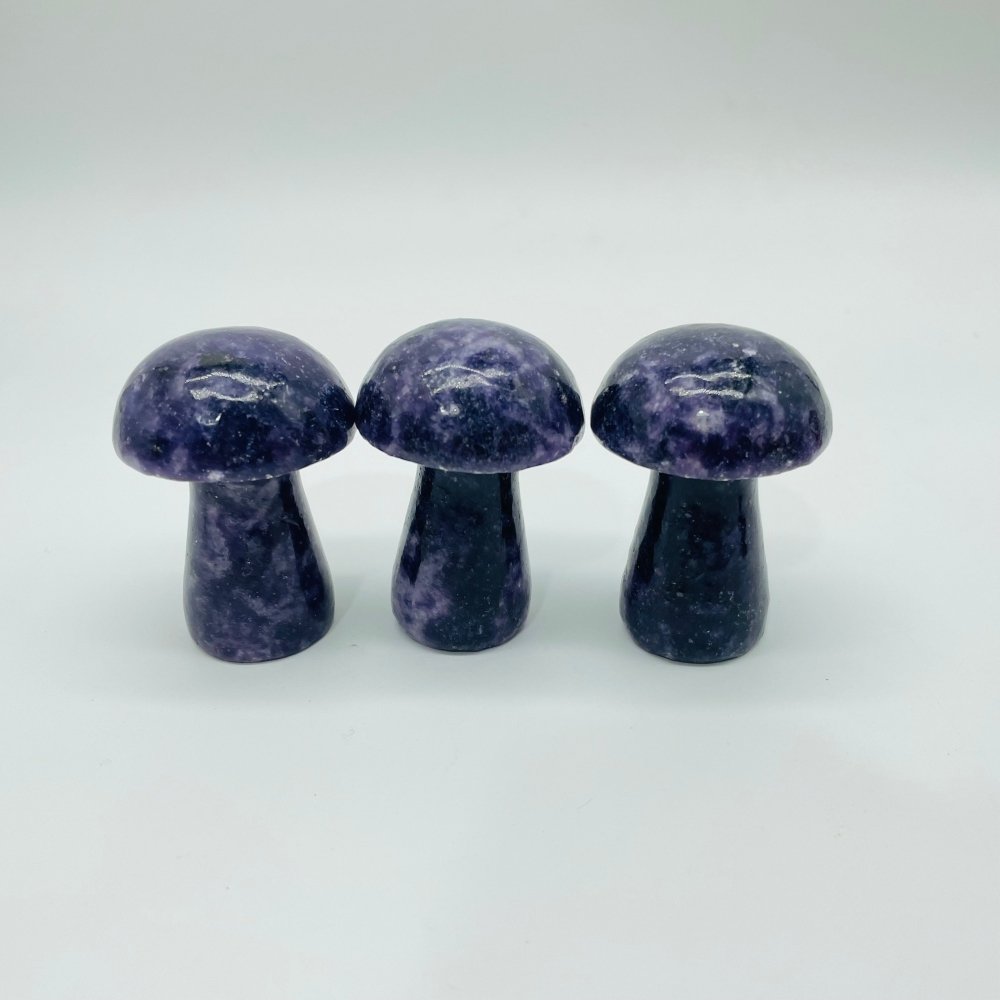 4Types Mushroom Lepidolite & Caribbean Carnelian Wholesale -Wholesale Crystals