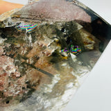 Rare Garden Quartz With Enhydro Moving Bubble High Grade Crystal For Collection -Wholesale Crystals